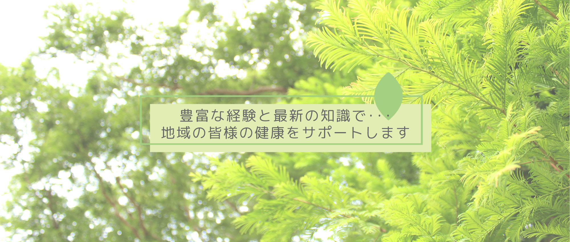 大田区中央、税務署前停留所、内科、小児科